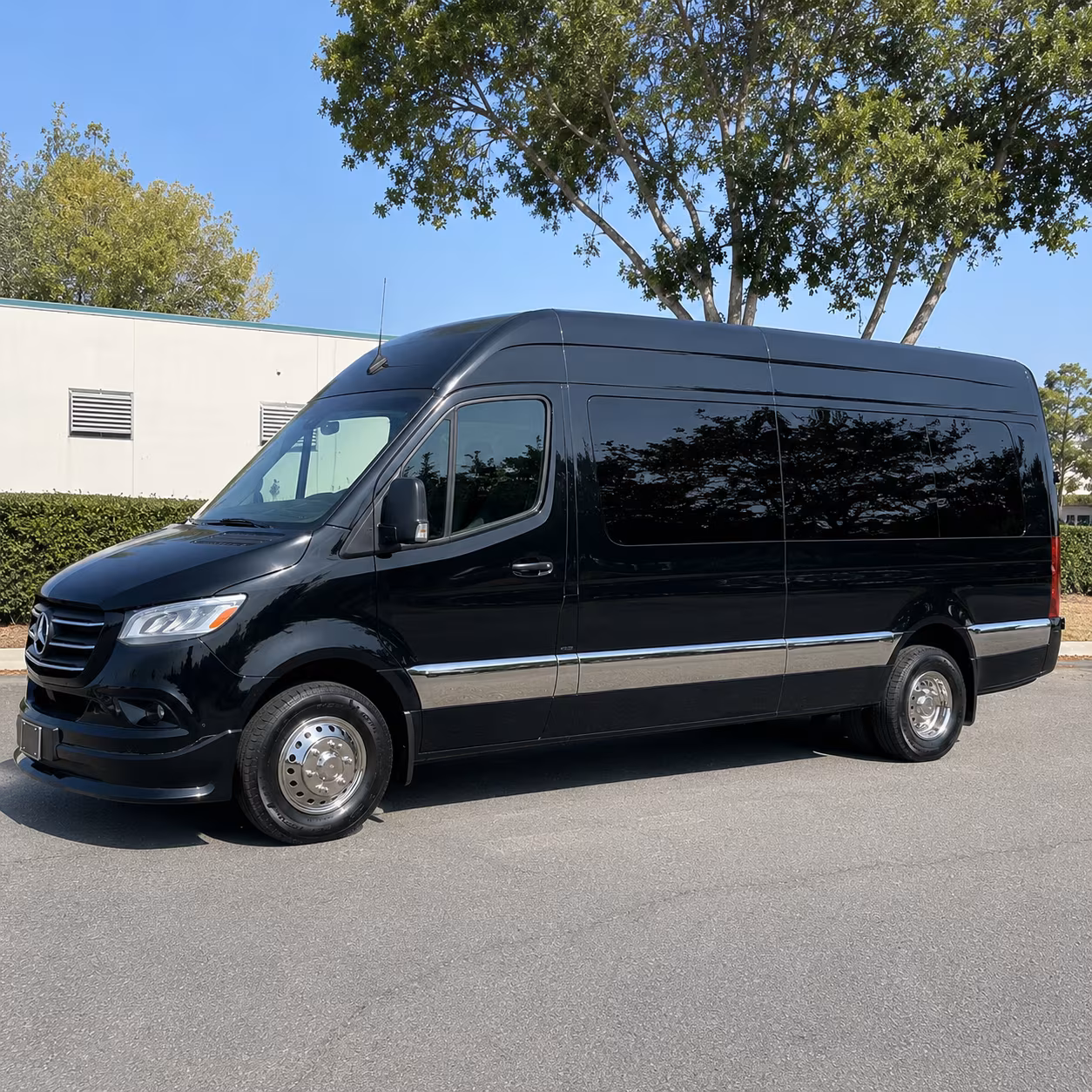 pleasanton book group transportation to pleasanton concerts